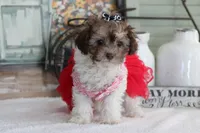 processed/a2ab33a0-9a04-4409-94a4-9eeabccc2f49/listing/08f83d82-8b45-4d9d-812a-78167b8daccc/86b03d33-7251-4e01-b1c4-11188c862824