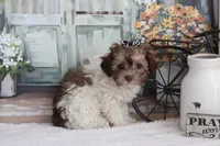 processed/a2ab33a0-9a04-4409-94a4-9eeabccc2f49/listing/08f83d82-8b45-4d9d-812a-78167b8daccc/dcf7b07d-c124-40b5-9c1e-e54bb413486f