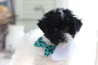 processed/a2ab33a0-9a04-4409-94a4-9eeabccc2f49/listing/567fc13a-c772-44f9-8ac1-187330534d7e/a6f2affe-ca35-4300-81c1-0475cc920ef0