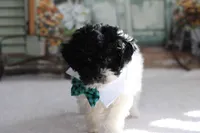 processed/a2ab33a0-9a04-4409-94a4-9eeabccc2f49/listing/567fc13a-c772-44f9-8ac1-187330534d7e/e28fc55c-6431-454f-a5bf-3f4f60962b56