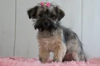 processed/a2ab33a0-9a04-4409-94a4-9eeabccc2f49/listing/60fdf42c-482a-4efc-9476-9c3e0686c809/145dfef9-7638-4d94-bf95-1919e1d716b3