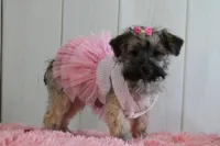 processed/a2ab33a0-9a04-4409-94a4-9eeabccc2f49/listing/60fdf42c-482a-4efc-9476-9c3e0686c809/7bb19442-6a6a-434b-9ce0-9b1cdbba5248