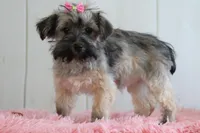 processed/a2ab33a0-9a04-4409-94a4-9eeabccc2f49/listing/60fdf42c-482a-4efc-9476-9c3e0686c809/d1ddeea0-4230-48fb-88d7-42a8d409ebd6