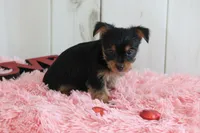 processed/a2ab33a0-9a04-4409-94a4-9eeabccc2f49/listing/6a03eec2-c448-4d16-b08c-bbecf99fee27/1cd8a58c-f02f-4a04-b6d6-f9ed76769443