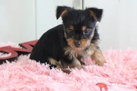 processed/a2ab33a0-9a04-4409-94a4-9eeabccc2f49/listing/6a03eec2-c448-4d16-b08c-bbecf99fee27/2f7ddc3e-9556-4dea-bc18-2f64afe73196