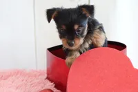 processed/a2ab33a0-9a04-4409-94a4-9eeabccc2f49/listing/6a03eec2-c448-4d16-b08c-bbecf99fee27/53ce35d9-d92e-4443-8bc9-31888d960f2e