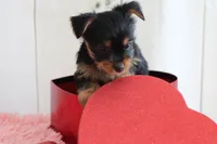 processed/a2ab33a0-9a04-4409-94a4-9eeabccc2f49/listing/6a03eec2-c448-4d16-b08c-bbecf99fee27/e38820d4-d346-480a-85e6-a4430618ae05