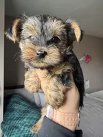 processed/a2ac607b-2f47-4670-94ee-2f514f8d3d06/listing/4ccbc228-8d9a-45c8-9c08-1f6a68592a08/e2f13900-a15f-47b8-80b7-a5a3d6e642a0