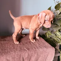 processed/a2b09e58-867b-4306-8e28-67c57d0fb32a/listing/3c8652c3-7a88-44a8-97a6-cc3bf5db73f5/dab080e4-ae6a-485e-8b20-6e924ec62041