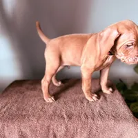 processed/a2b09e58-867b-4306-8e28-67c57d0fb32a/listing/3c8652c3-7a88-44a8-97a6-cc3bf5db73f5/dc0f4de3-5e8f-42b2-acd6-005e57cdf082