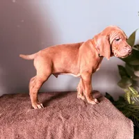 processed/a2b09e58-867b-4306-8e28-67c57d0fb32a/listing/41caadfa-23de-4113-a36f-7571e0564ea7/3f5bd6ab-a4fa-4aa5-939b-02c6f26f1b62