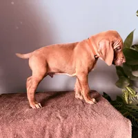 processed/a2b09e58-867b-4306-8e28-67c57d0fb32a/listing/41caadfa-23de-4113-a36f-7571e0564ea7/88abc7af-c450-468b-b84b-906cae0b6d74