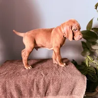 processed/a2b09e58-867b-4306-8e28-67c57d0fb32a/listing/473170f2-b7c2-47bc-9dba-f7d653cddd2a/54fcc095-242c-489d-a888-15ddd2fa6dd1