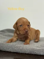 processed/a2b09e58-867b-4306-8e28-67c57d0fb32a/listing/473170f2-b7c2-47bc-9dba-f7d653cddd2a/68c55ea5-e878-4b10-9401-eb0a73527f02