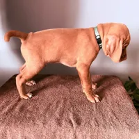 processed/a2b09e58-867b-4306-8e28-67c57d0fb32a/listing/a415dbb5-7236-4025-b2a4-f69e52476ef1/86fca032-584a-4d6e-a84f-6f76dd2c0d11