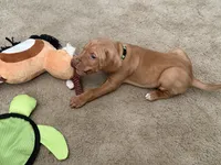 processed/a2b09e58-867b-4306-8e28-67c57d0fb32a/listing/a415dbb5-7236-4025-b2a4-f69e52476ef1/87e12f28-bad7-4b6a-8f62-e4f1e8adcdff