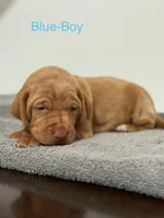 processed/a2b09e58-867b-4306-8e28-67c57d0fb32a/listing/a415dbb5-7236-4025-b2a4-f69e52476ef1/d8ccb0f1-c7e2-4b00-ac2d-746a40cbc18c