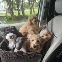 processed/a2b64c59-ae1e-4589-9e36-47f986148712/facility/011c86ec-2571-4308-80b1-131c1c8c1ff6