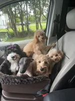 processed/a2b64c59-ae1e-4589-9e36-47f986148712/facility/011c86ec-2571-4308-80b1-131c1c8c1ff6