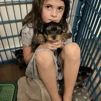 processed/a2b64c59-ae1e-4589-9e36-47f986148712/facility/409031f8-ecc9-429b-a906-8ab7f8aadaeb