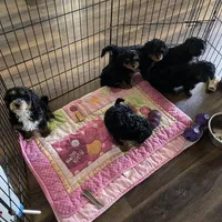 processed/a2b64c59-ae1e-4589-9e36-47f986148712/facility/c07f467c-9bf9-48d0-b789-b33ac8d46c37