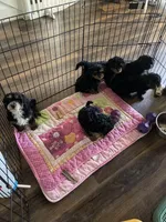 processed/a2b64c59-ae1e-4589-9e36-47f986148712/facility/c07f467c-9bf9-48d0-b789-b33ac8d46c37