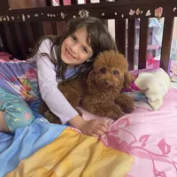 processed/a2b64c59-ae1e-4589-9e36-47f986148712/facility/ed4b823b-ef5b-42b9-a6e9-bb16f373dffa