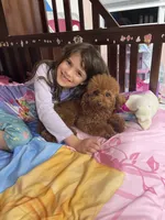 processed/a2b64c59-ae1e-4589-9e36-47f986148712/facility/ed4b823b-ef5b-42b9-a6e9-bb16f373dffa