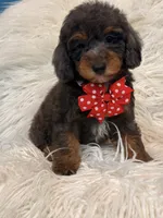 processed/a2b64c59-ae1e-4589-9e36-47f986148712/listing/cddcb0e6-4727-44d9-b423-dc3e9f9fb0ea/556f1f6b-e4a6-4ab1-92e5-9aa30d2852e2