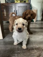 processed/a2bc9d9a-9ff6-4049-a32f-f00edd114b16/listing/2a3b9dd2-de71-4fc2-81ee-e2421a3f9fe0/156f8b59-db5c-465f-8723-1e1b6903bda1