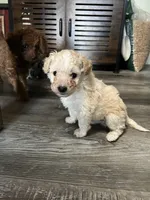 processed/a2bc9d9a-9ff6-4049-a32f-f00edd114b16/listing/2a3b9dd2-de71-4fc2-81ee-e2421a3f9fe0/51d4b307-bf9e-4566-8c46-97f7a06d51db