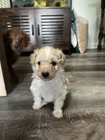 processed/a2bc9d9a-9ff6-4049-a32f-f00edd114b16/listing/2a3b9dd2-de71-4fc2-81ee-e2421a3f9fe0/59478a26-94c4-4e9a-9044-ba31f1160d88