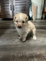 processed/a2bc9d9a-9ff6-4049-a32f-f00edd114b16/listing/2a3b9dd2-de71-4fc2-81ee-e2421a3f9fe0/65ebf69f-c337-4941-bec5-d4d534d0518f