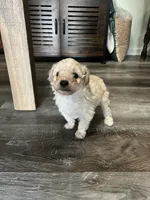 processed/a2bc9d9a-9ff6-4049-a32f-f00edd114b16/listing/2a3b9dd2-de71-4fc2-81ee-e2421a3f9fe0/8047248e-021f-41c0-96a1-c2727829d7d2