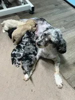 processed/a2bc9d9a-9ff6-4049-a32f-f00edd114b16/listing/2a3b9dd2-de71-4fc2-81ee-e2421a3f9fe0/c70f4a66-46bf-43b4-a6e3-72122d0a2a84