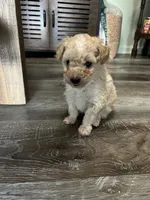 processed/a2bc9d9a-9ff6-4049-a32f-f00edd114b16/listing/2a3b9dd2-de71-4fc2-81ee-e2421a3f9fe0/dae2f6ed-4a22-4a9f-8d88-036d97eb648e