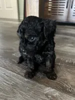 processed/a2bc9d9a-9ff6-4049-a32f-f00edd114b16/listing/4ef9a985-d266-47fa-b246-01dbf8ec4cb6/04b390c8-f8d0-42d1-be6d-6909d12786ee