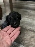 processed/a2bc9d9a-9ff6-4049-a32f-f00edd114b16/listing/4ef9a985-d266-47fa-b246-01dbf8ec4cb6/0b52172d-5f9d-4adc-9891-c96c0277c11d