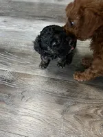 processed/a2bc9d9a-9ff6-4049-a32f-f00edd114b16/listing/4ef9a985-d266-47fa-b246-01dbf8ec4cb6/1a72f8b1-f95b-4999-a595-307a0df3617e