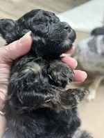 processed/a2bc9d9a-9ff6-4049-a32f-f00edd114b16/listing/4ef9a985-d266-47fa-b246-01dbf8ec4cb6/32c1d649-a2b7-4df3-a462-c71777c78f88