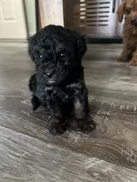 processed/a2bc9d9a-9ff6-4049-a32f-f00edd114b16/listing/4ef9a985-d266-47fa-b246-01dbf8ec4cb6/7f83bc70-1eed-4170-8265-7100e7eae072