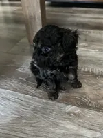 processed/a2bc9d9a-9ff6-4049-a32f-f00edd114b16/listing/4ef9a985-d266-47fa-b246-01dbf8ec4cb6/b1b64269-58fc-449a-94b6-d7ecefb3063b