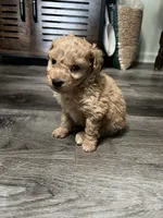 processed/a2bc9d9a-9ff6-4049-a32f-f00edd114b16/listing/7229a675-f6e9-46b1-a961-5520e3c143d5/447604e6-2172-4f7d-a042-d8e41a9a8c78