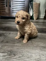 processed/a2bc9d9a-9ff6-4049-a32f-f00edd114b16/listing/7229a675-f6e9-46b1-a961-5520e3c143d5/6adb1c18-150d-4a98-878b-a620b9125ec4