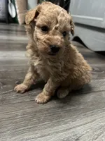 processed/a2bc9d9a-9ff6-4049-a32f-f00edd114b16/listing/7229a675-f6e9-46b1-a961-5520e3c143d5/c12c2fd2-16ca-4399-8aeb-c0cbdde6033c