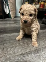 processed/a2bc9d9a-9ff6-4049-a32f-f00edd114b16/listing/7229a675-f6e9-46b1-a961-5520e3c143d5/f39de600-808a-42f6-bb80-7afec722afb4