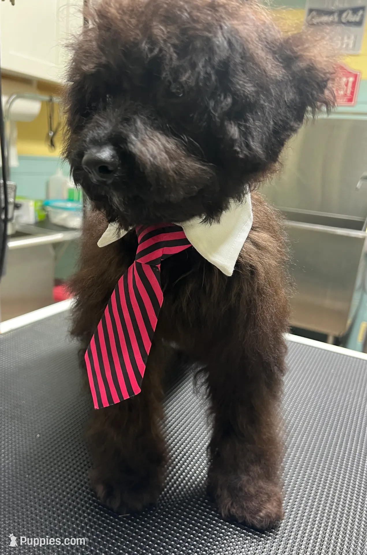 processed/a2bc9d9a-9ff6-4049-a32f-f00edd114b16/listing/859a8d61-ff86-4fde-a174-2740729ff322/01d048ea-8e75-495d-a37f-251ec5da69d5