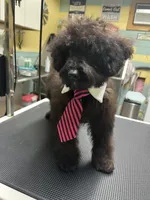 processed/a2bc9d9a-9ff6-4049-a32f-f00edd114b16/listing/859a8d61-ff86-4fde-a174-2740729ff322/08663cb7-91e8-43ca-87b2-ec66d41bbac0