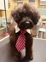 processed/a2bc9d9a-9ff6-4049-a32f-f00edd114b16/listing/859a8d61-ff86-4fde-a174-2740729ff322/1767fb02-7de0-4b61-a255-9a4501256f0e