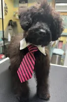 processed/a2bc9d9a-9ff6-4049-a32f-f00edd114b16/listing/859a8d61-ff86-4fde-a174-2740729ff322/47f6a410-4b88-4466-a09d-faaeb160c37b